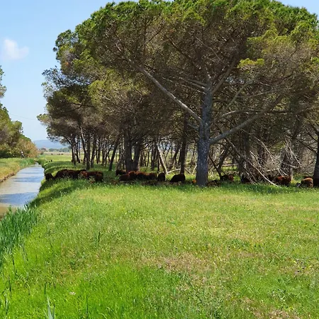 Podere Bellavista - Bella Valle * Vada